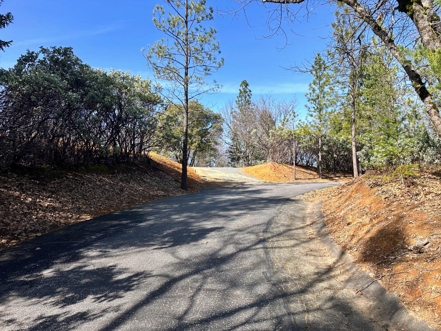 525 Deerborne Court Colfax, CA 95713 - Photo 11 of 15 a view of yard with tree in the background