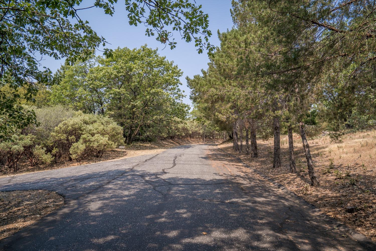 525 Deerborne Court Colfax, CA 95713 - Photo 12 of 15 a view of dirt yard with a tree