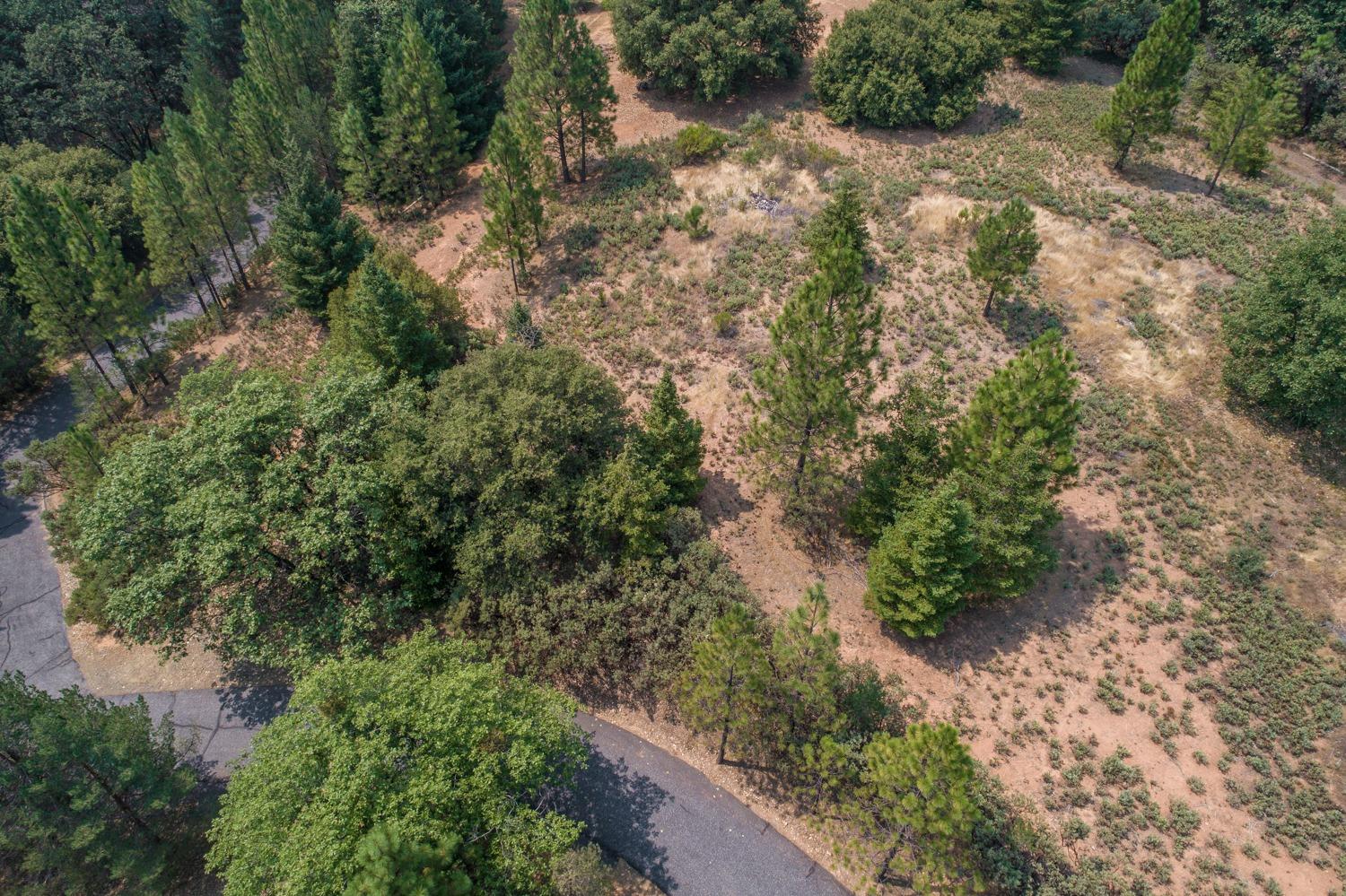 525 Deerborne Court Colfax, CA 95713 - Photo 15 of 15 an aerial view of a house with a yard