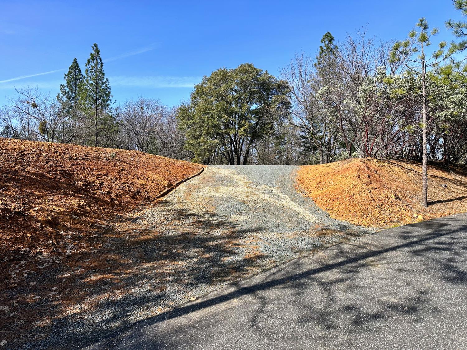 525 Deerborne Court Colfax, CA 95713 - Photo 9 of 15 a view of a backyard of the house