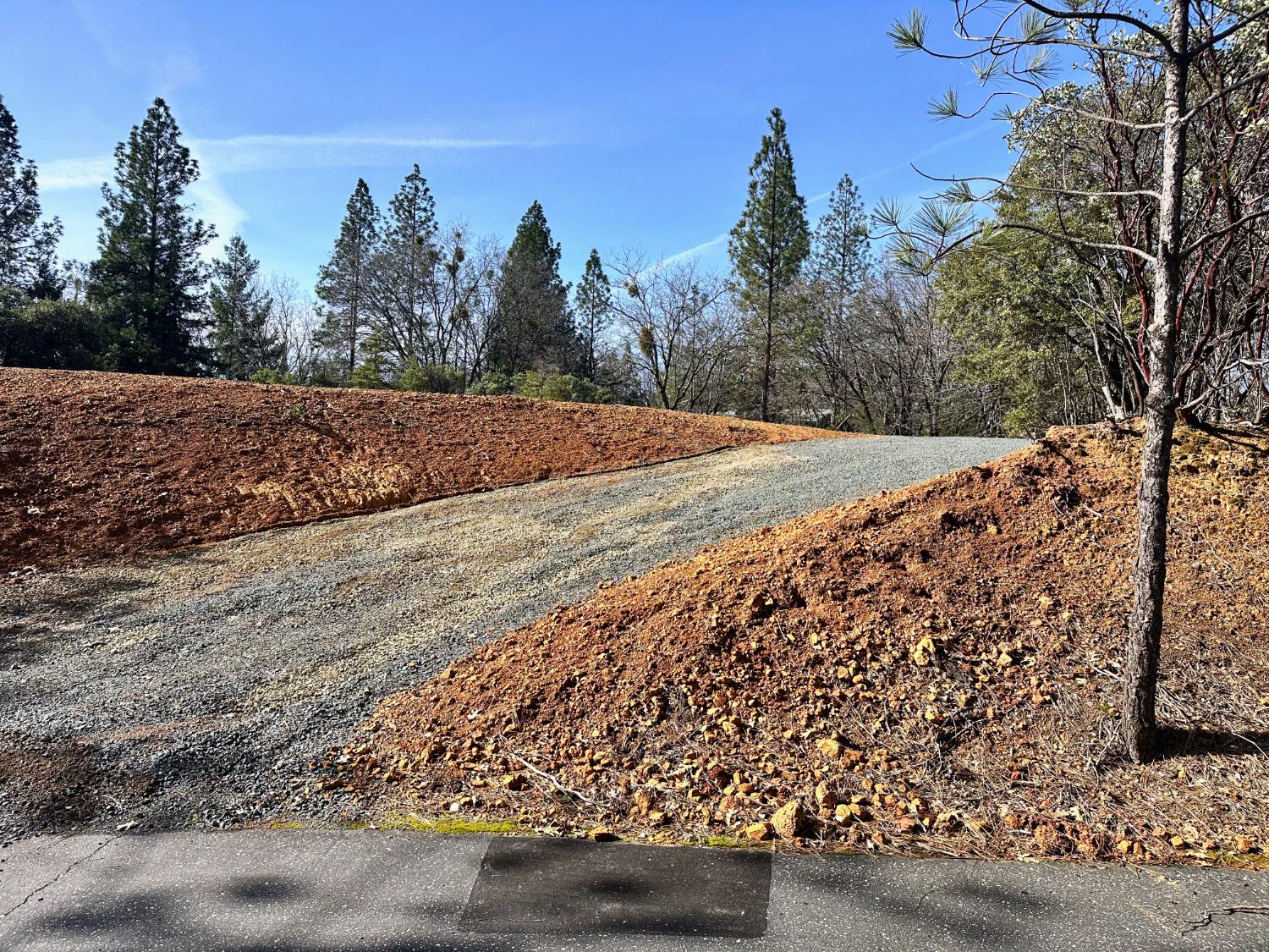 525 Deerborne Court Colfax, CA 95713 - Photo 10 of 15 a view of a yard with wooden fence