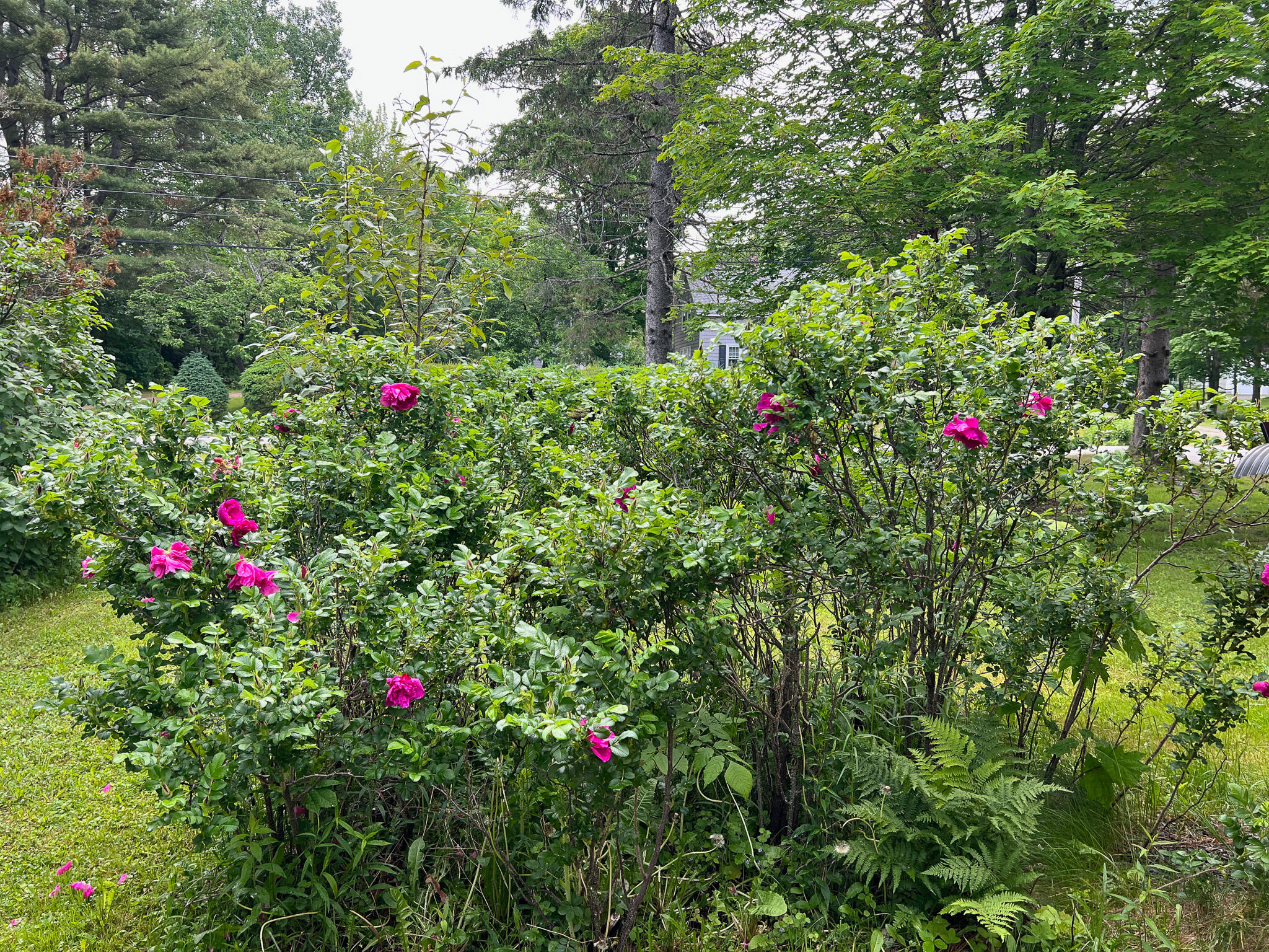 501 Enfield Road Lincoln, ME 04457 - Photo 35 of 37 31