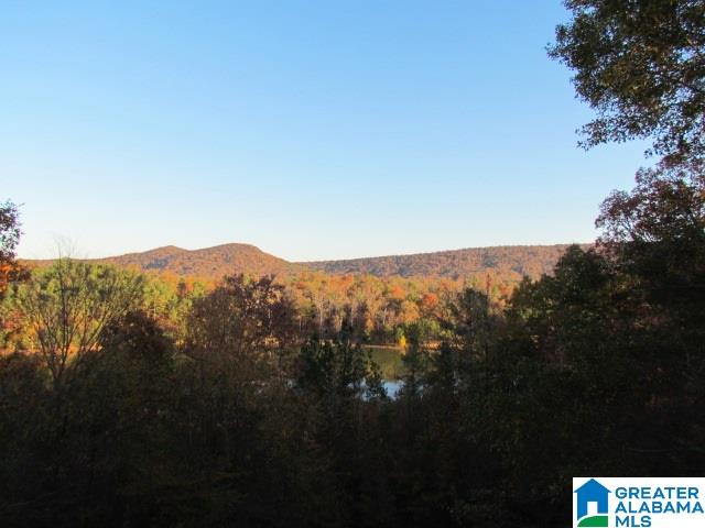 70 Ridgewood Lane Odenville, AL 35120 - Photo 38 of 47
