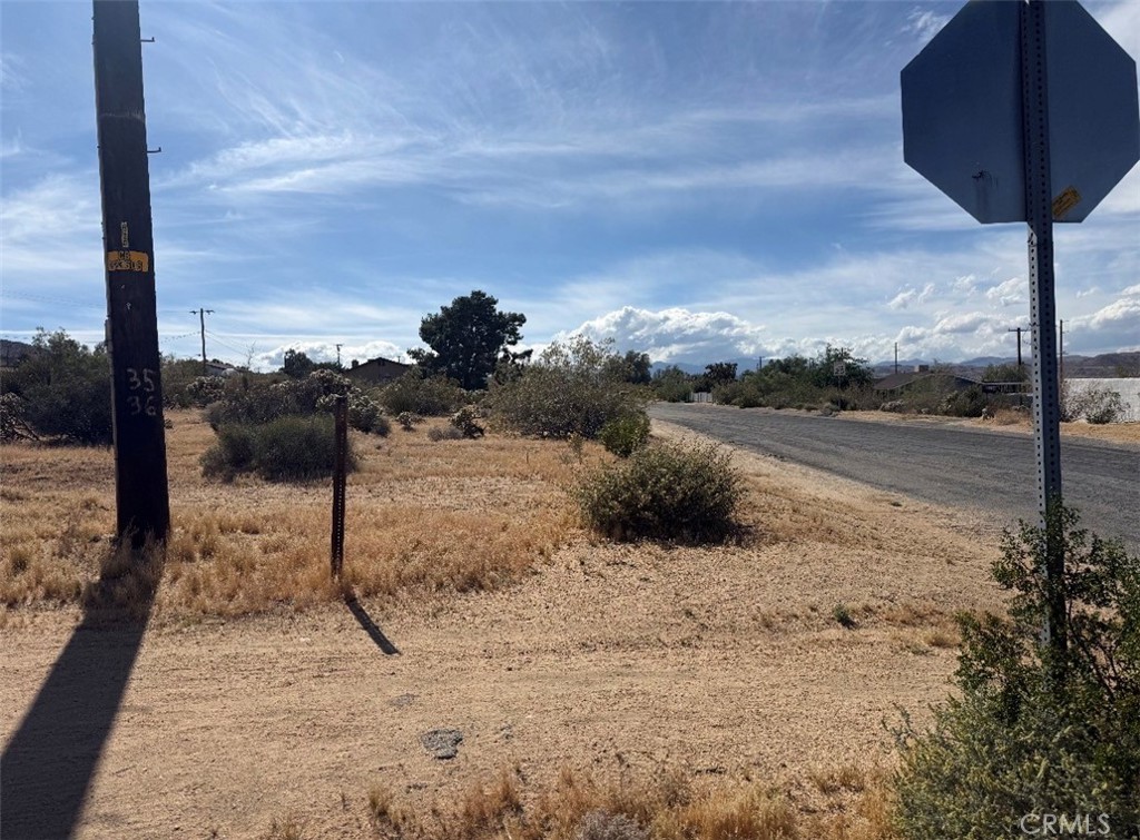 7373 Sunny Vista Road Joshua Tree, CA 92252 - Photo 4 of 6 a view of a dry yard with wooden fence