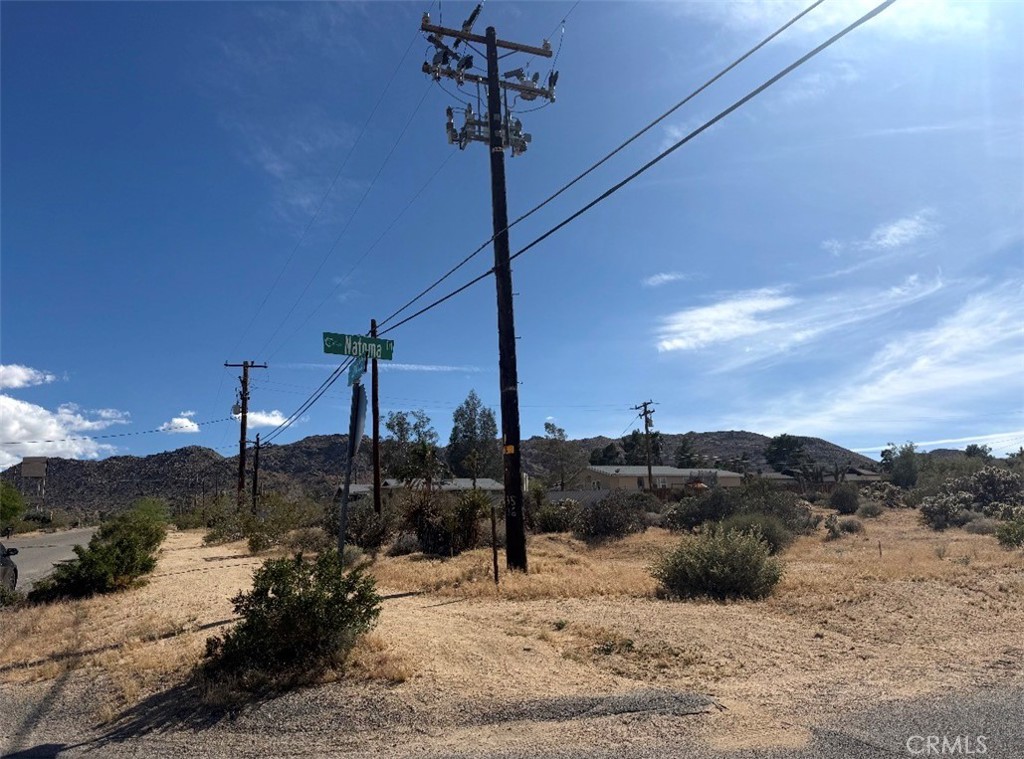 7373 Sunny Vista Road Joshua Tree, CA 92252 - Photo 5 of 6 a view of a snow in the middle of a yard