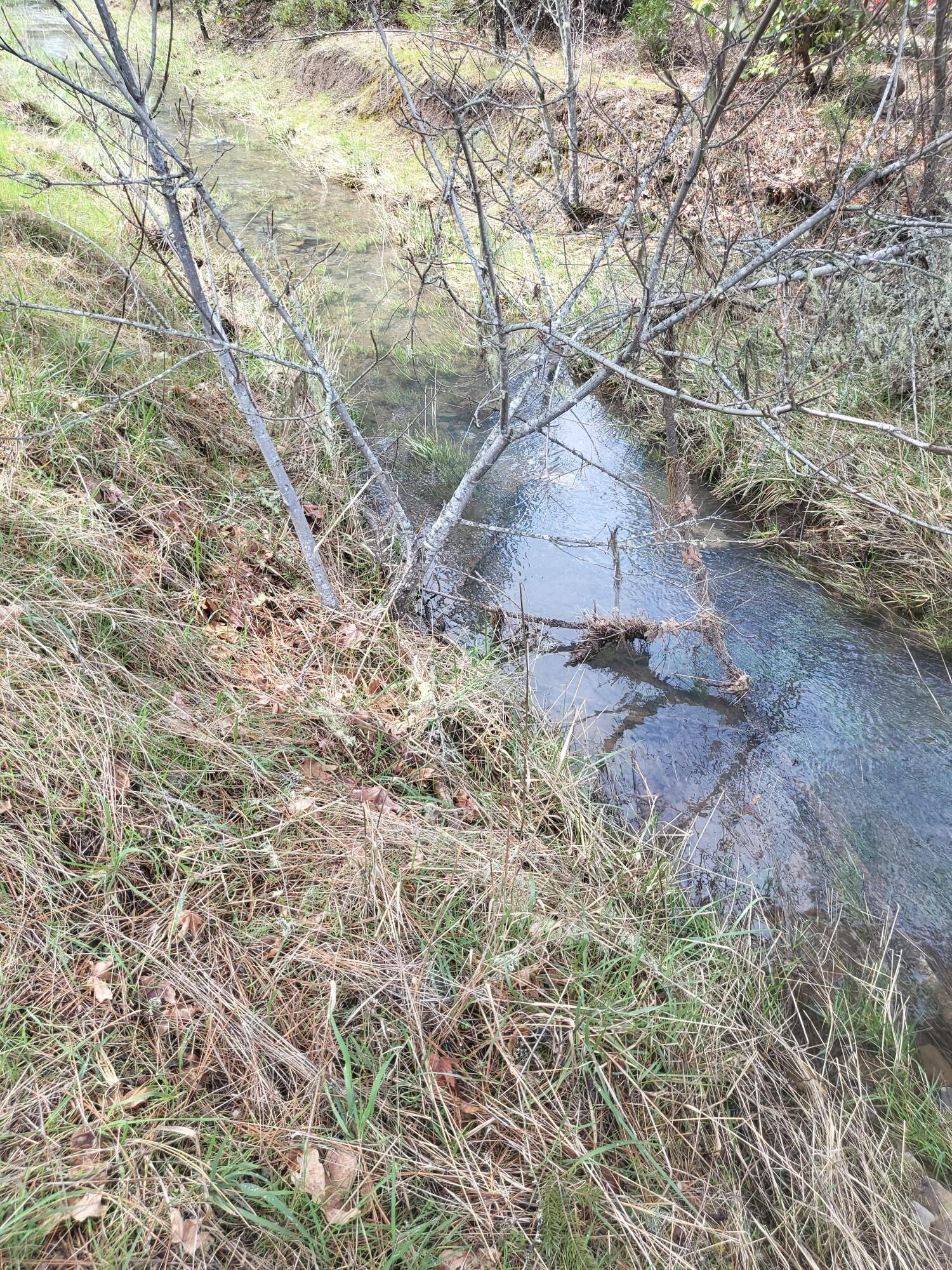 962 Indian Creek Road Selma, OR 97538 - Photo 7 of 42 Water Runoff, this is typically dry by July