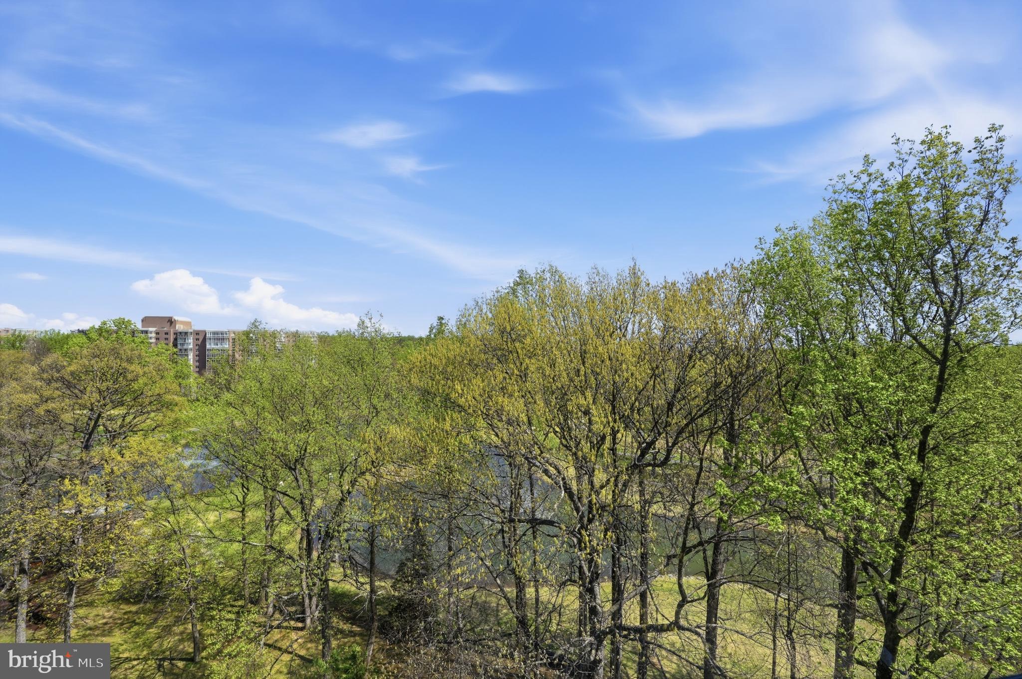 15107 Interlachen Drive, Unit 21006 Silver Spring, MD 20906 - Photo 14 of 29 View from the Balcony
