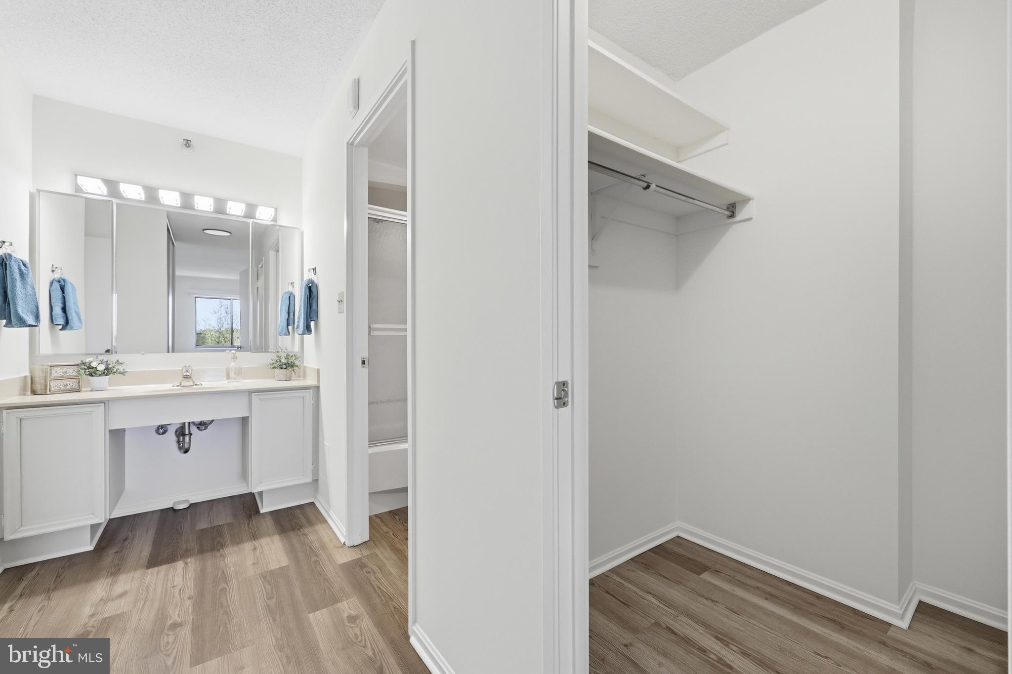 15107 Interlachen Drive, Unit 21006 Silver Spring, MD 20906 - Photo 23 of 29 Primary Walk-in closet, dressing arear