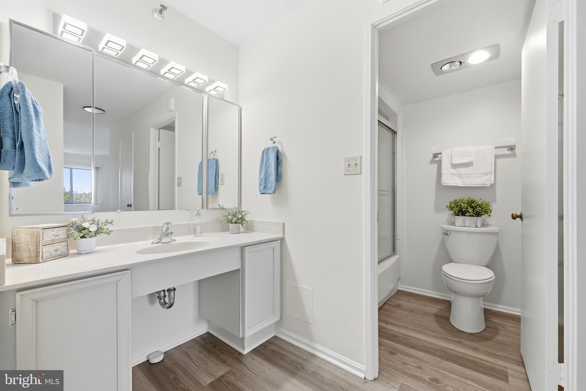 15107 Interlachen Drive, Unit 21006 Silver Spring, MD 20906 - Photo 24 of 29 Primary Bathroom, Tub with Shower