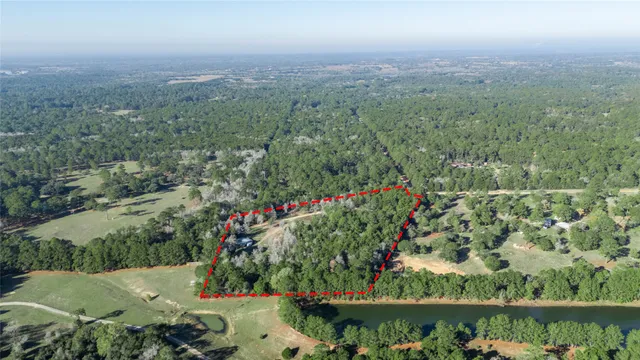 a close up of a plant in a garden