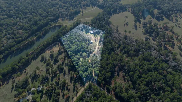 a view of a forest with trees in the background