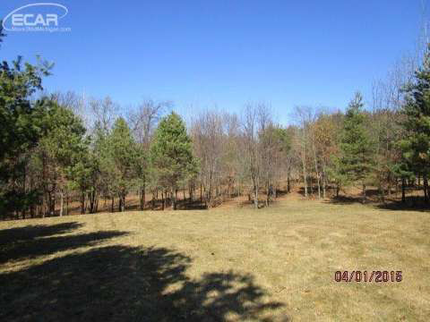 18420 Tipsico Lake Road Fenton, MI 48430 - Photo 20 of 48 20435207-19.JPG