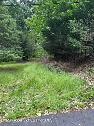 a view of a park that has large trees