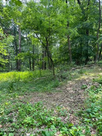 a view of outdoor space with a garden