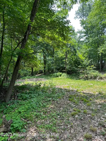 a big yard with lots of green space and deers