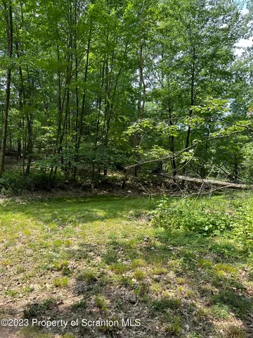 a view of outdoor space with deck and yard