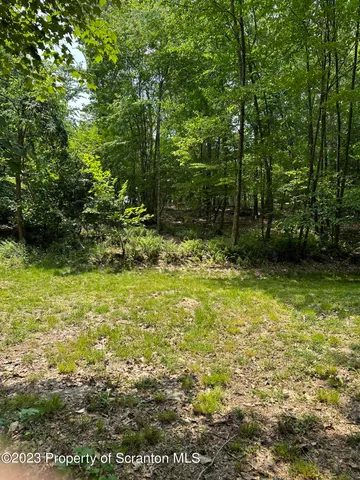 a view of yard with green space