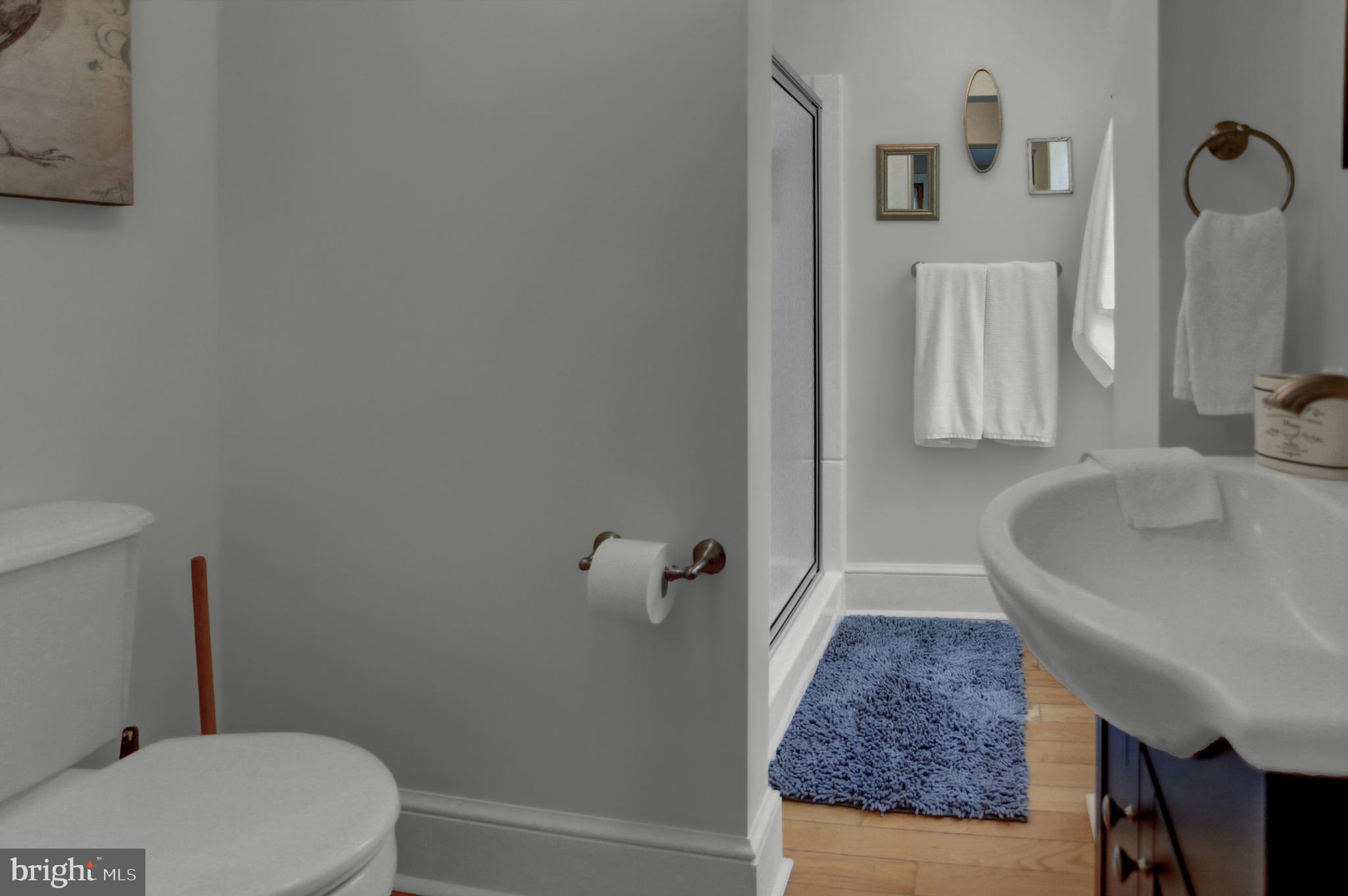 573 Spangler School Road Gettysburg, PA 17325 - Photo 82 of 101 1st floor apt. rental bath