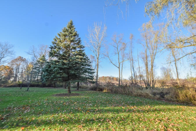 539 Grass Lake Road Coldwater, MI 49036 - Photo 6 of 32 DSC_0257