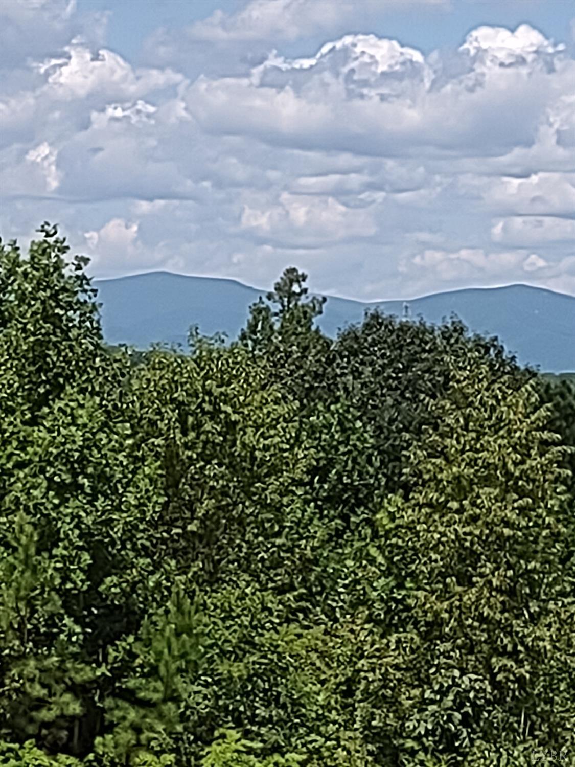 -parcel D Fox Hall Drive Amherst, VA 24521 - Photo 1 of 5 a view of a bunch of trees