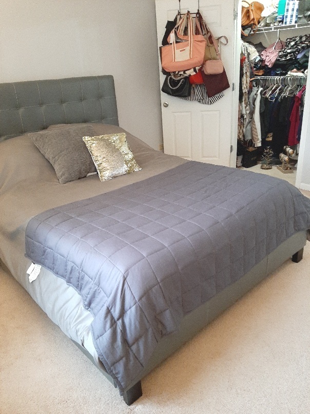 6436 Roosevelt Road, Unit 209 Oak Park, IL 60304 - Photo 12 of 25 a bedroom with a bed and a couch