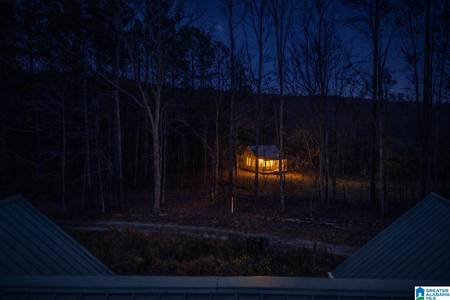 1285 White Oak Road Ashland, AL 36251 - Photo 54 of 71