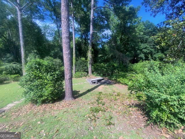 123 Hillcrest Road West Point, GA 31833 - Photo 9 of 39