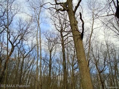 1 Hartland Road Fenton, MI 48430 - Photo 4 of 6