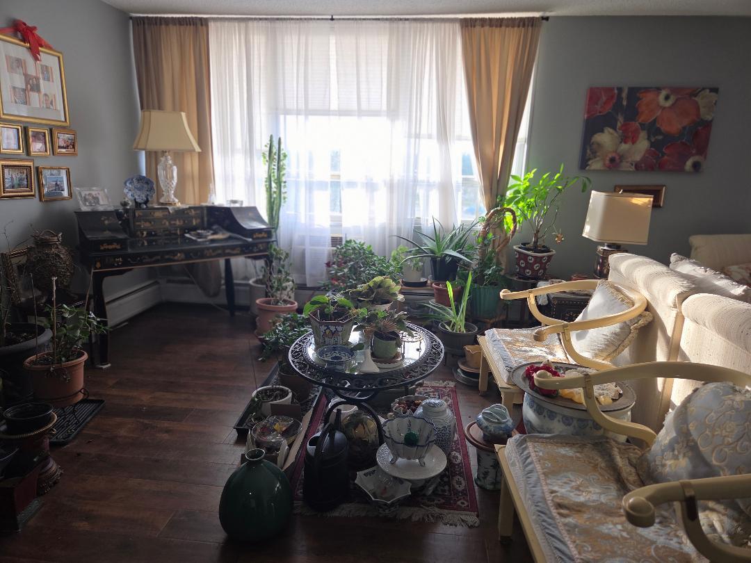 8815 West Golf Road, Unit 3A Niles, IL 60714 - Photo 9 of 27