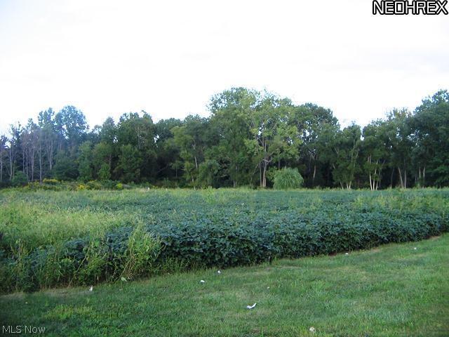 3974 Butler Road Wakeman, OH 44889 - Photo 4 of 12