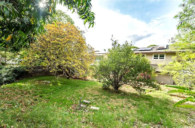 a view of backyard with plants and garden