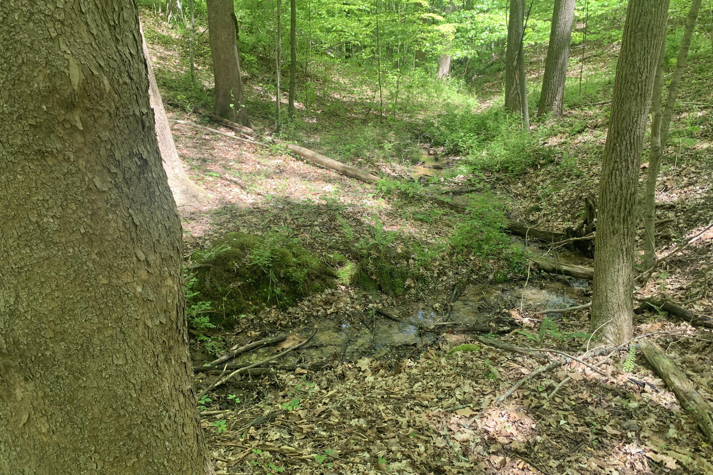 0 Tennant Road, Unit TRACT 2 Ray, OH 45672 - Photo 15 of 39 20230509_171546654_iOS