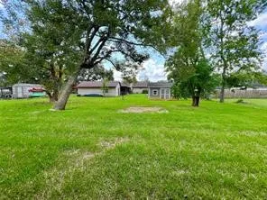 a view of yard with grass and trees