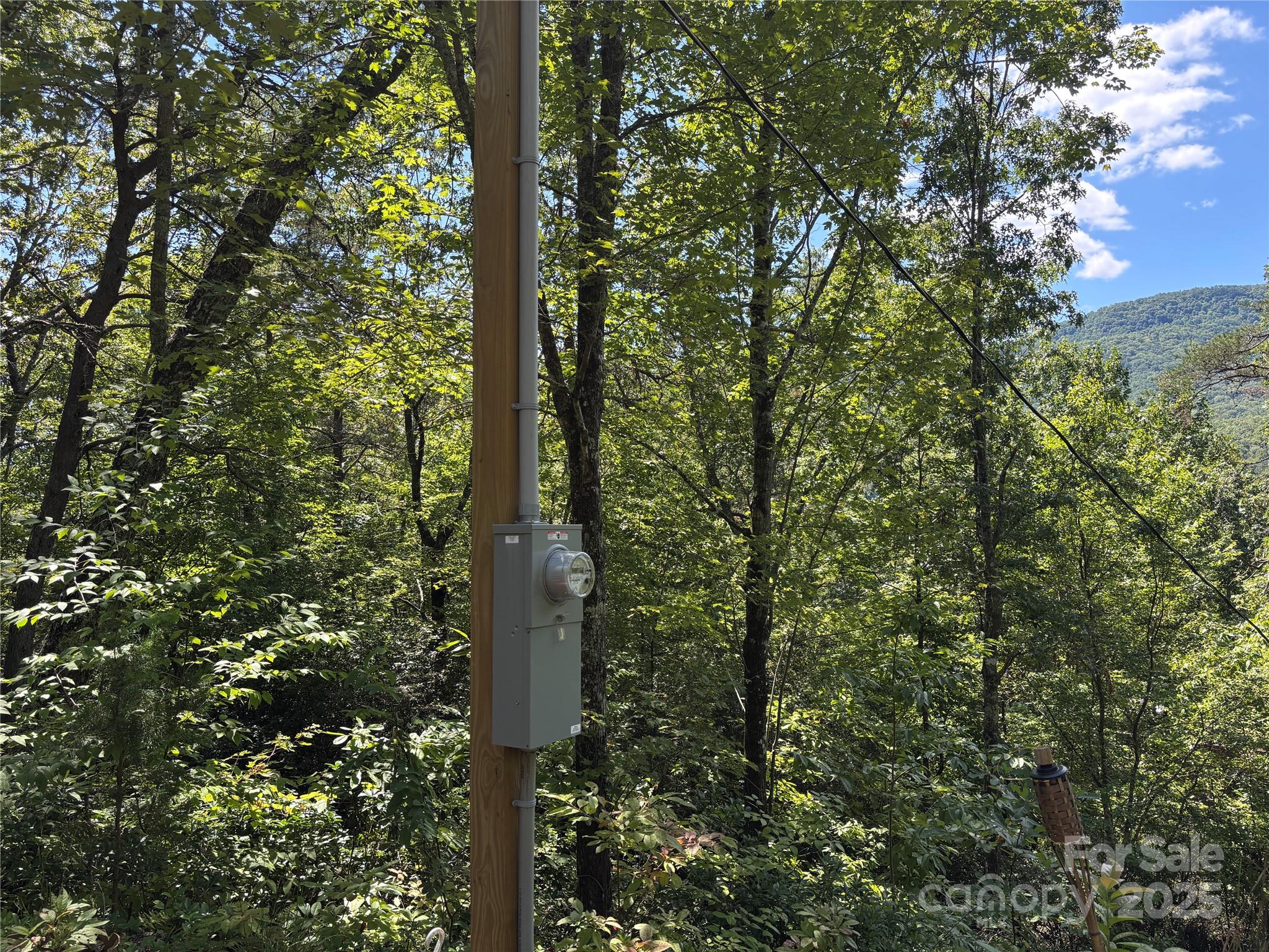 9999 Cindy Cove Road Robbinsville, NC 28771 - Photo 25 of 28
