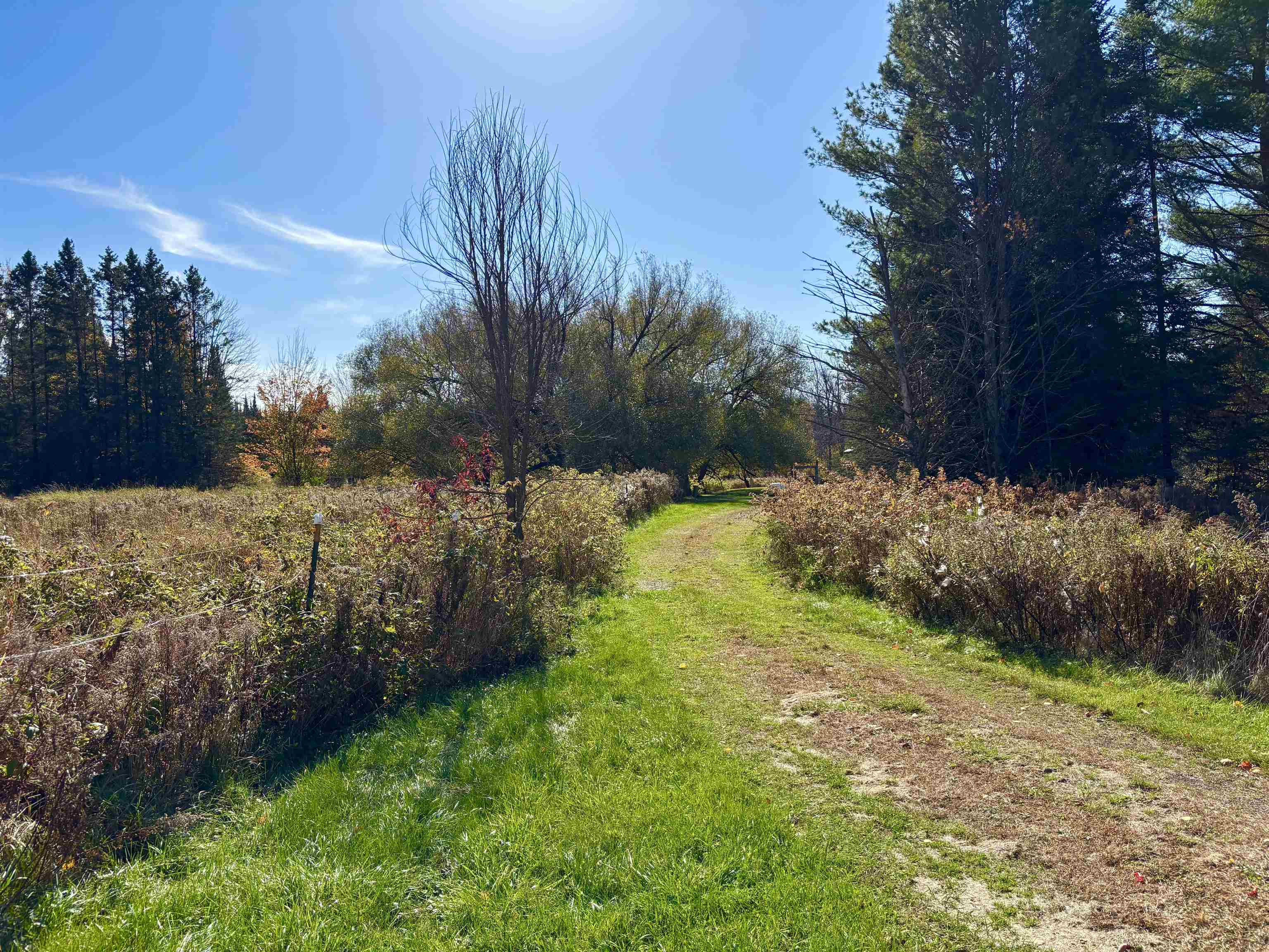 N6441 Lindow Road Prentice, WI 54556 - Photo 20 of 47
