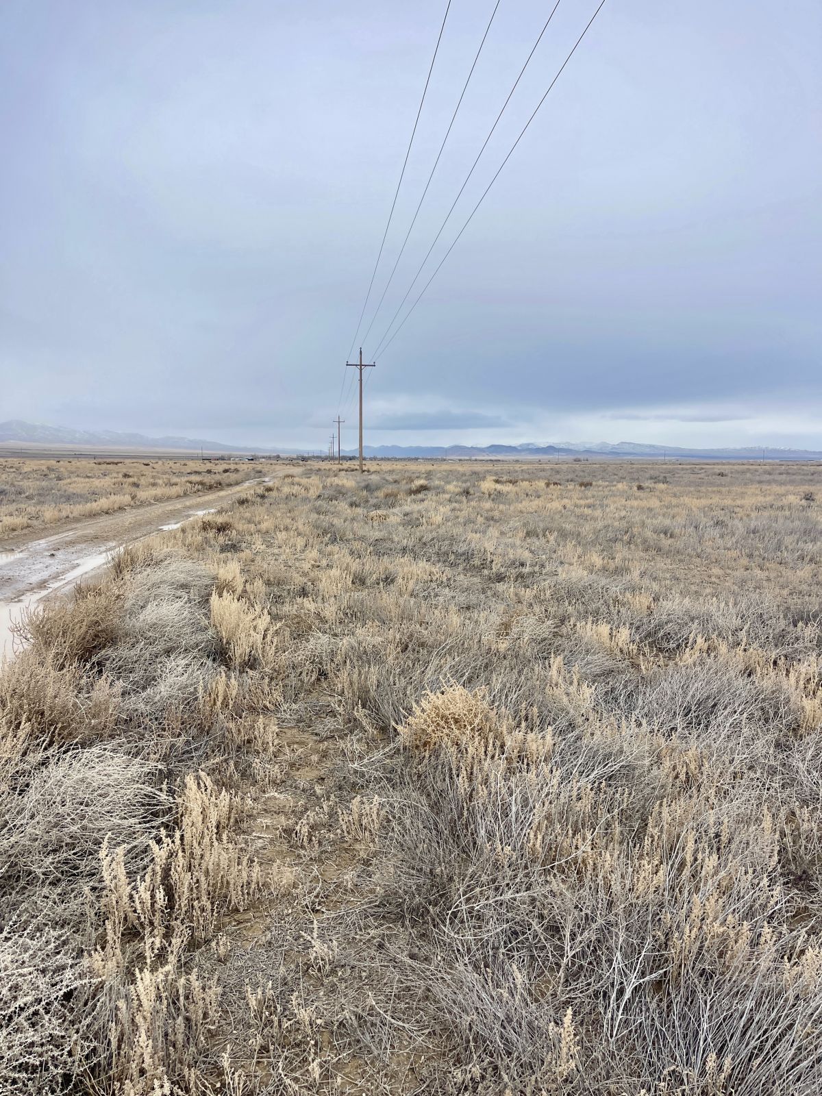 South Church Road Montello, NV 89830 - Photo 4 of 25
