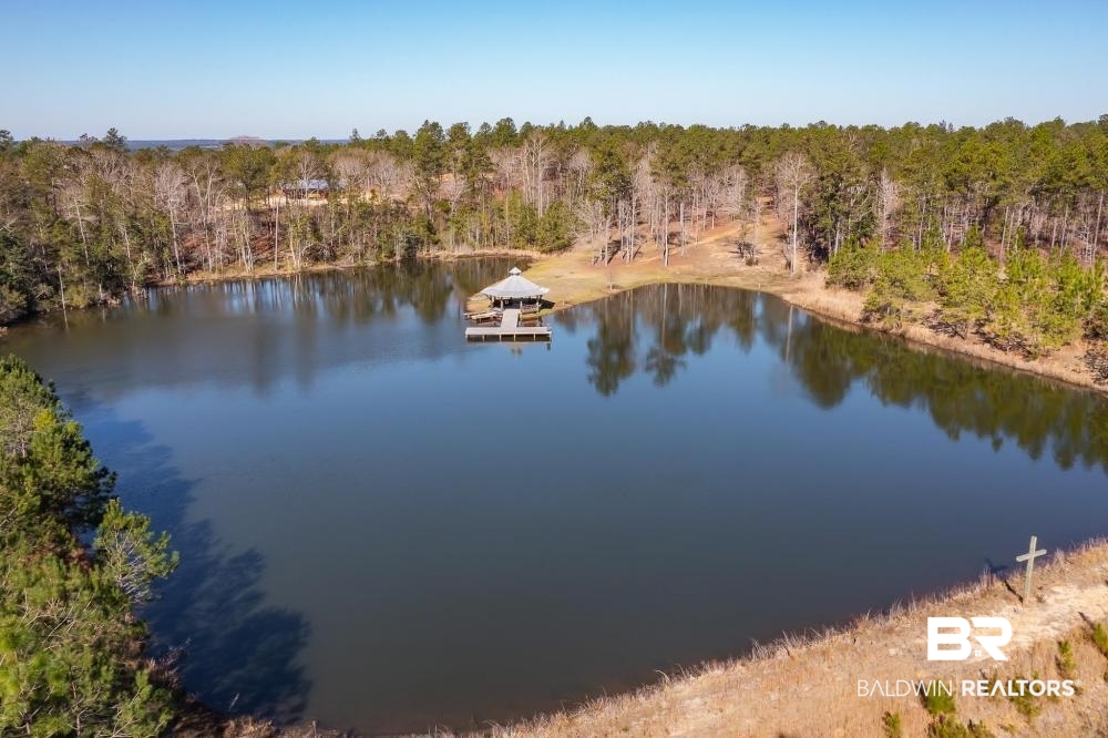 0 Private Road Millry, AL 36558 - Photo 14 of 50