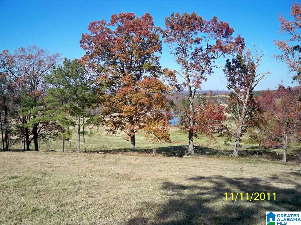 1511 Burgett Road Altoona, AL 35952 - Photo 32 of 38 Gallery Image 32