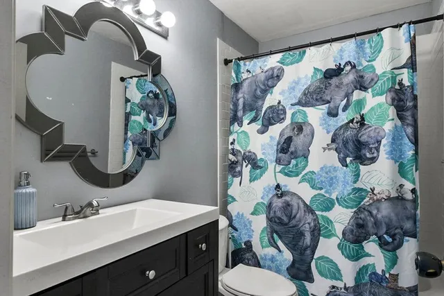 a bathroom with a sink mirror and toilet