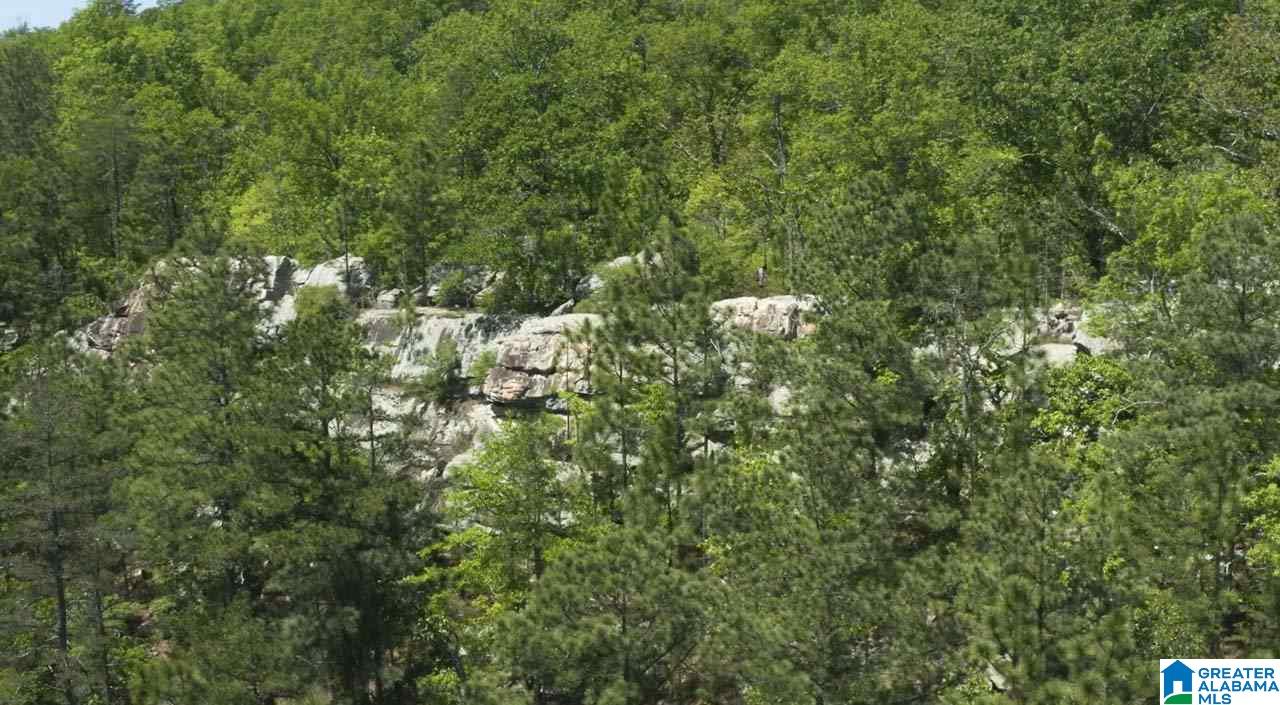 784 Cavalier Ridge, Unit 33 Birmingham, AL 35242 - Photo 35 of 42