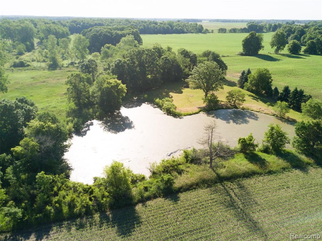 0 North Gregory Road Fowlerville, MI 48836 - Photo 6 of 49