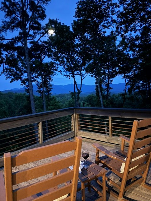 254 Leatherwood Mountain Road Cherry Log, GA 30522 - Photo 89 of 103 Seller Photo