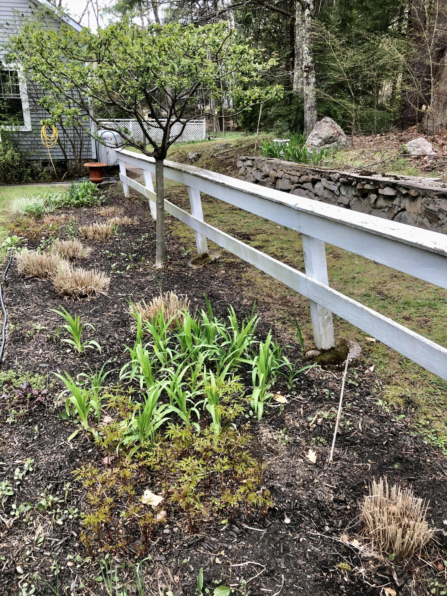 91 Harrison Road Naples, ME 04055 - Photo 8 of 32 Lilies