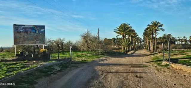 a view of a park that has a large tree