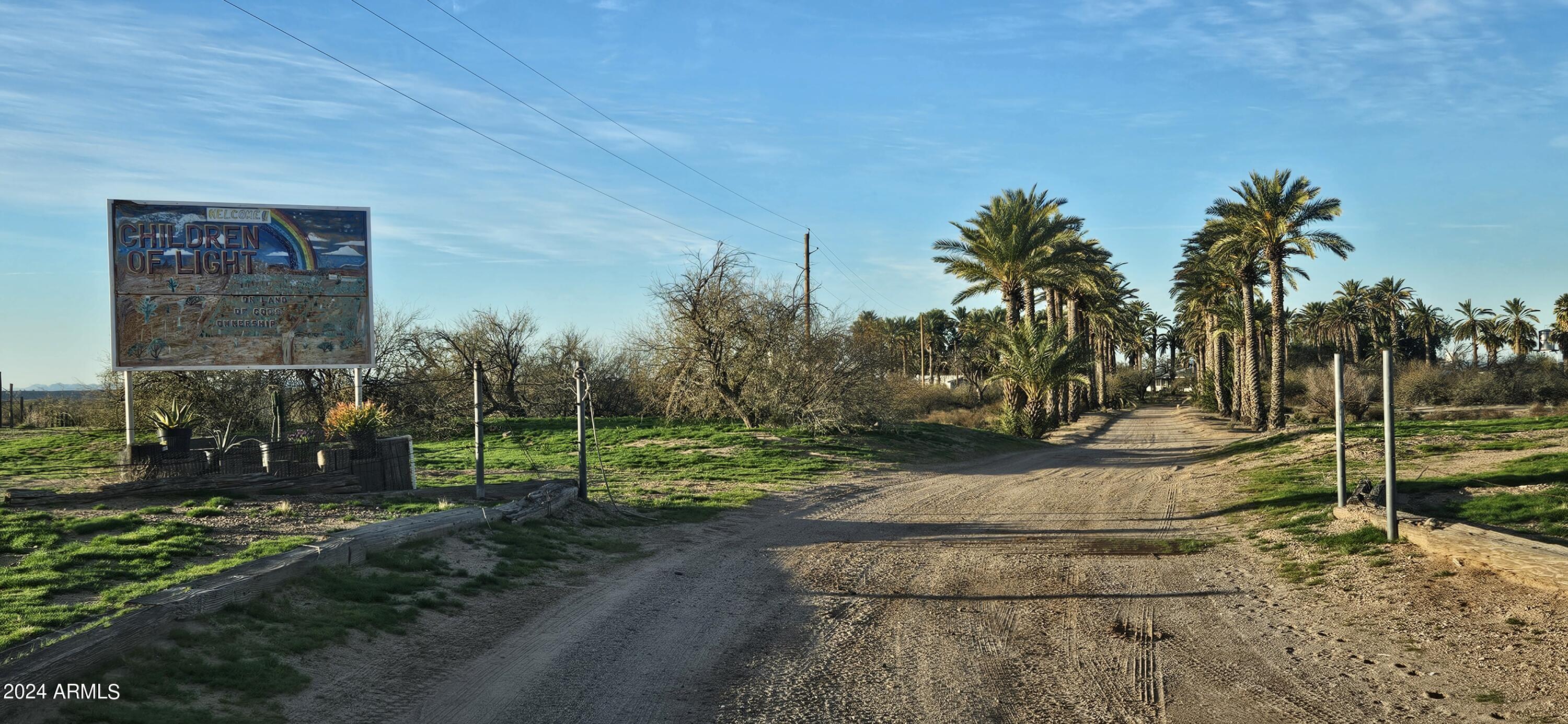 a view of a park that has a large tree