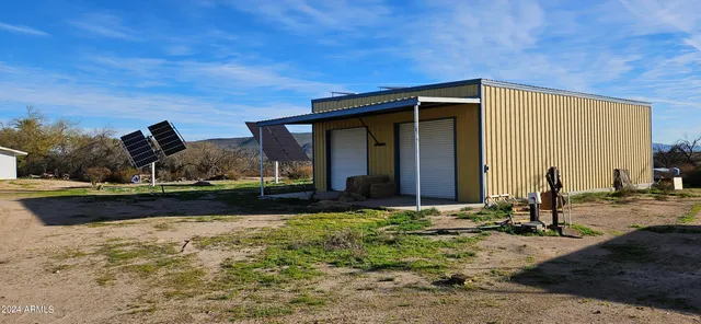 a view of a park with palm trees