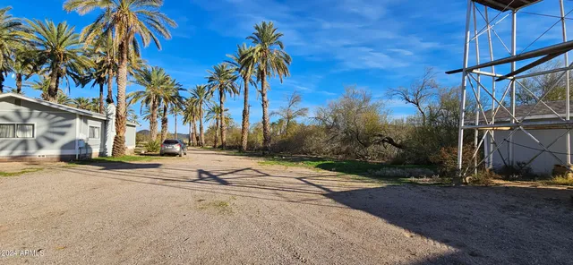 a view of a house with a palm tree