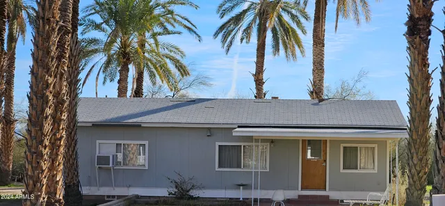 a view of a palm tree with a palm tree