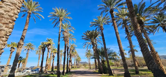 $1,000,000 | 10850 Ave 76E, Dateland, AZ 85333