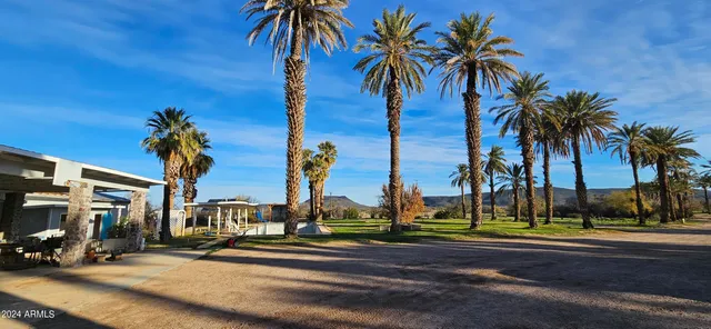 a view of a park with palm trees